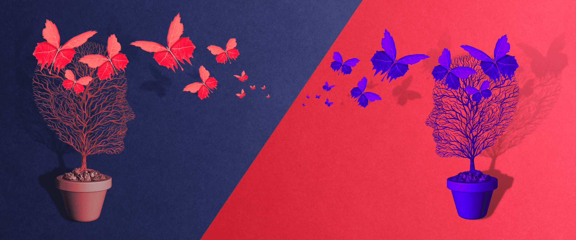 Banner2