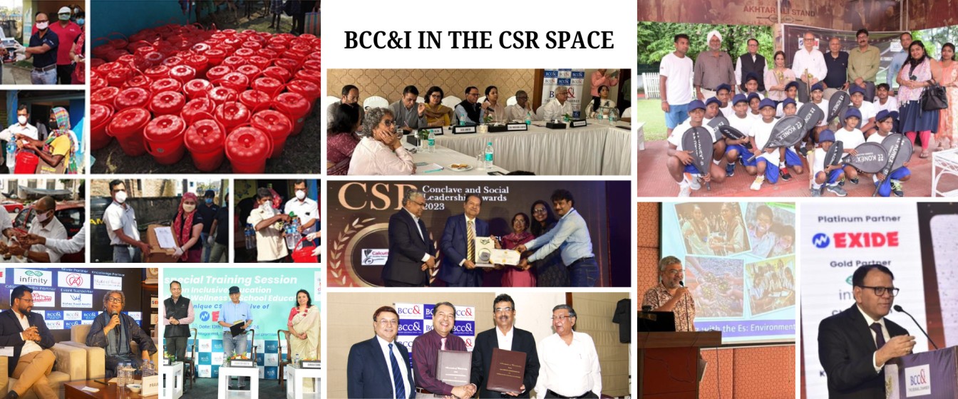 BCC&I in the CSR Space