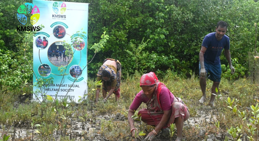 Three community workers planting mangrove saplings in a muddy wetland next to a Kankura Masat Social Welfare Society (KMSWS) banner, with a dense mangrove forest in the background.