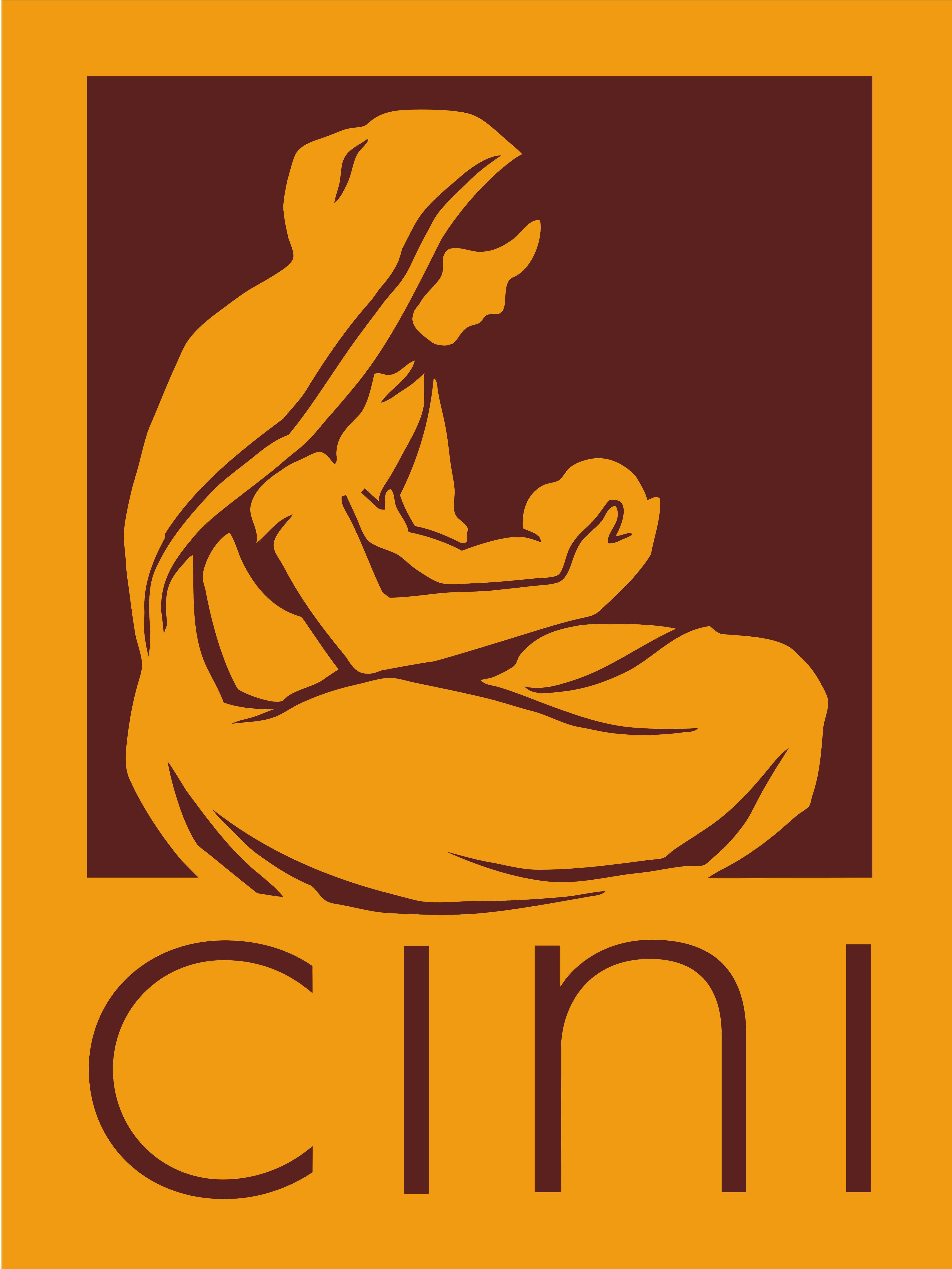 CINI LOGO