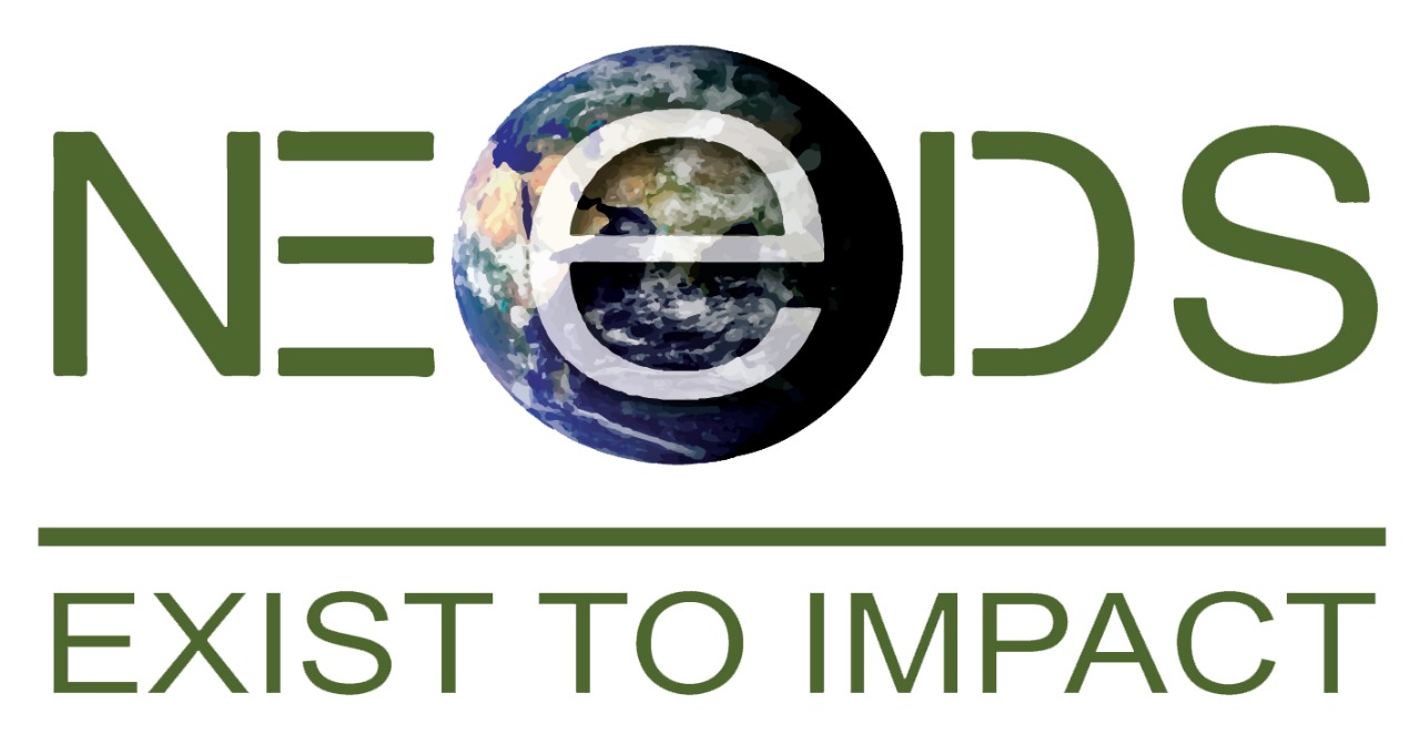 NEEDS - Exist To Impact
