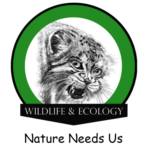 Wildlife & Ecology