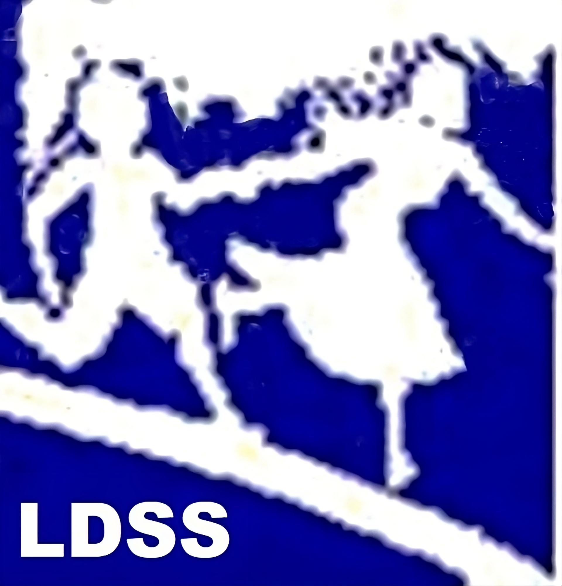 L Dey Road Sarada Society