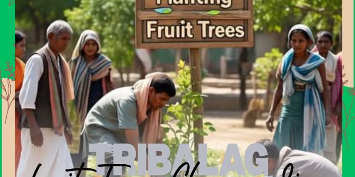 Fruit Trees Change Lives