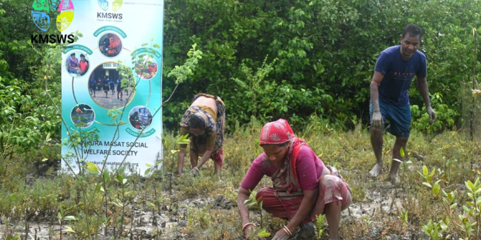 Community members planting mangroves for environmental conservation